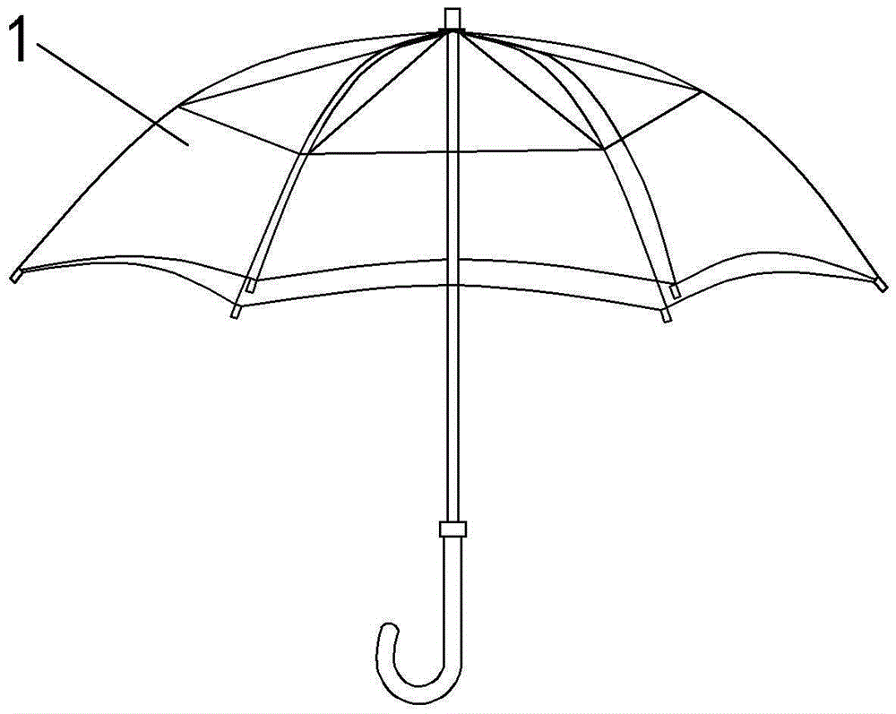 transparent umbrella