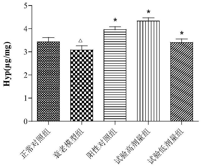 Application of traditional Chinese medicine composition in preparation of anti-skin aging medicines or cosmetics