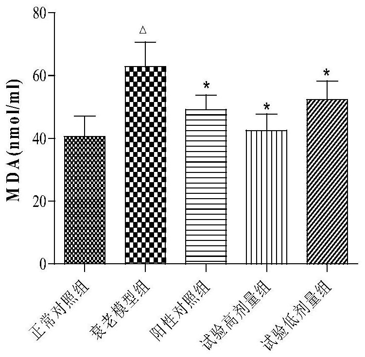 Application of traditional Chinese medicine composition in preparation of anti-skin aging medicines or cosmetics