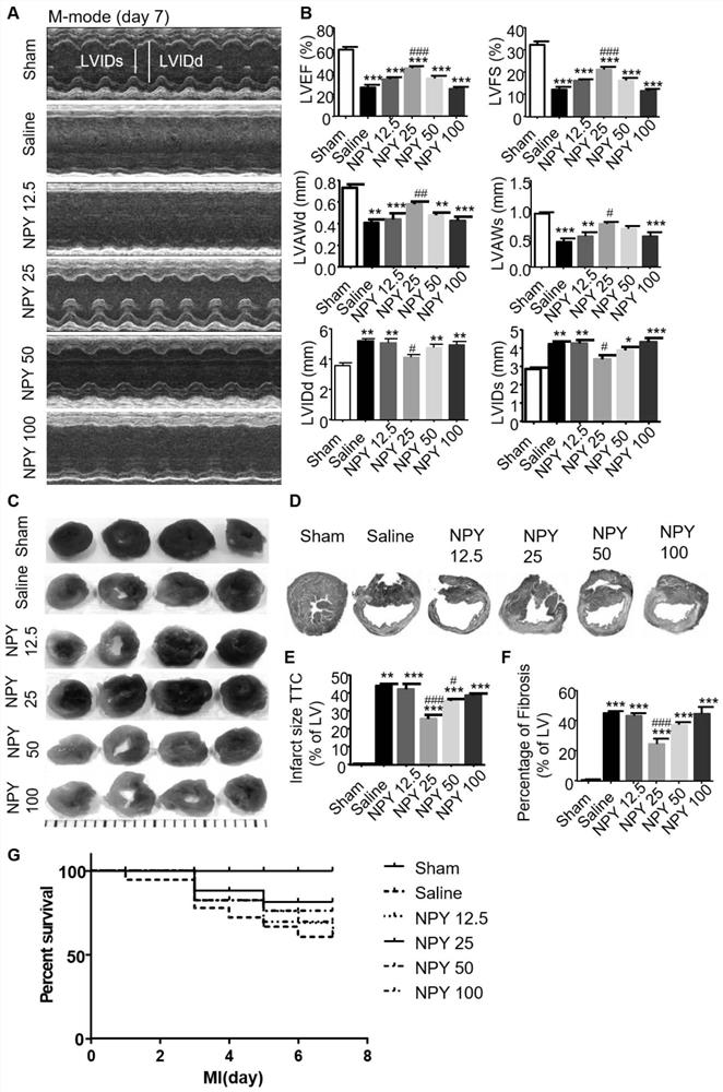 New applications of neuropeptide y