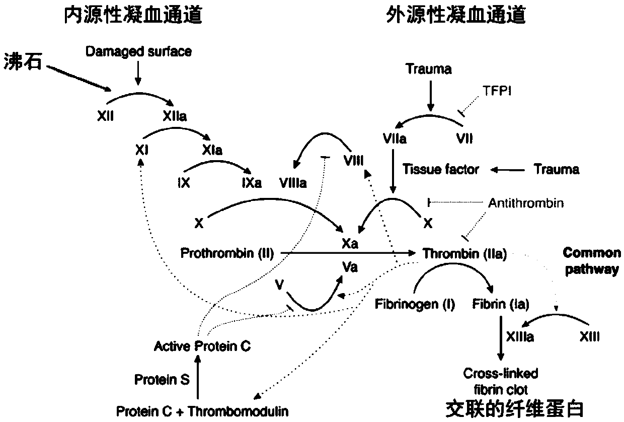 Hemostasis composition and preparation method therefor