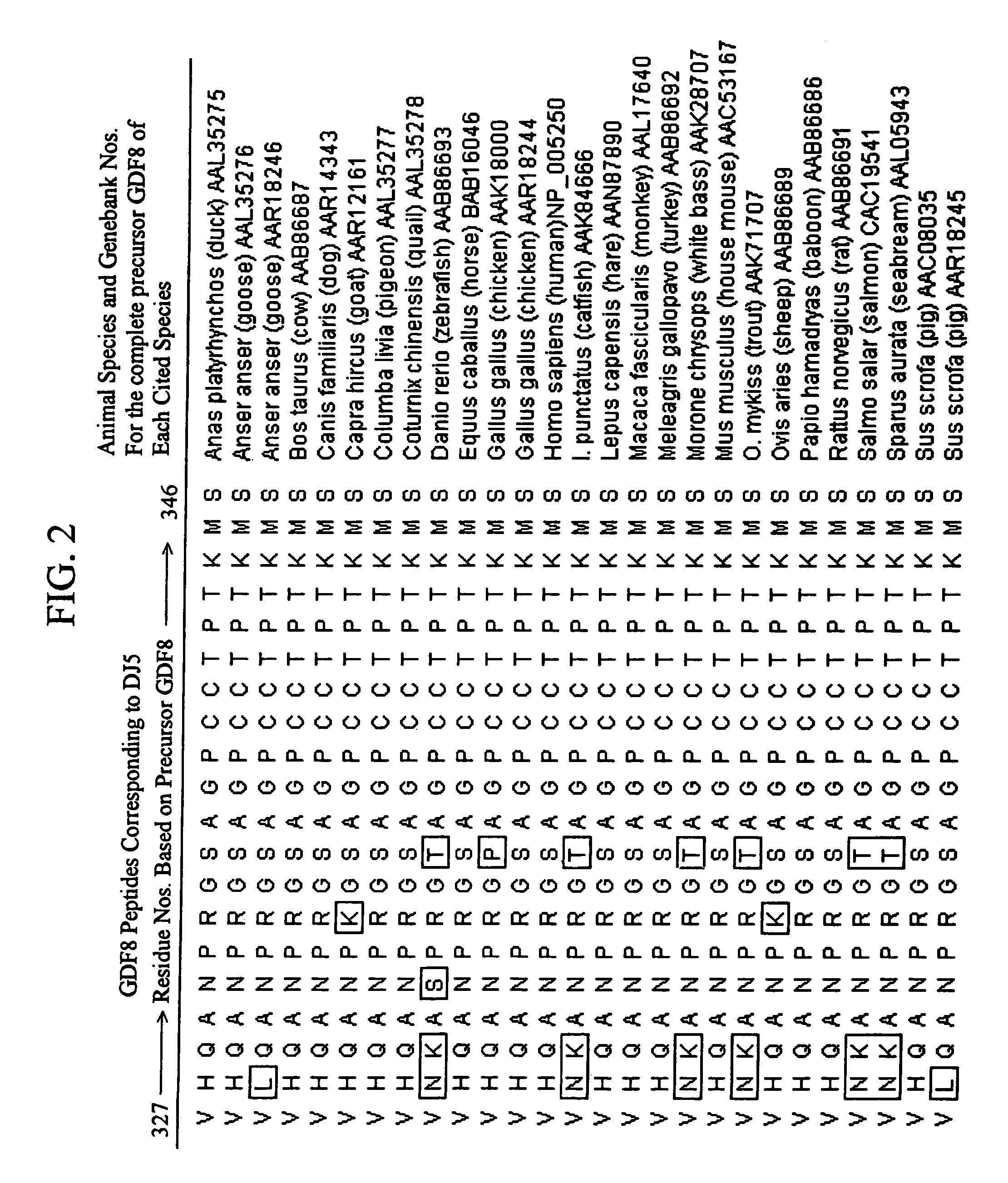 Plant virus coat fusion proteins with GDF8 epitopes and vaccines thereof
