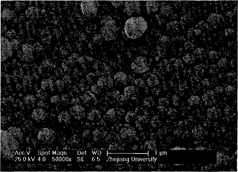 Method for preparing strontium fluoride or rare-earth doped strontium fluoride film by adopting electrolytic deposition