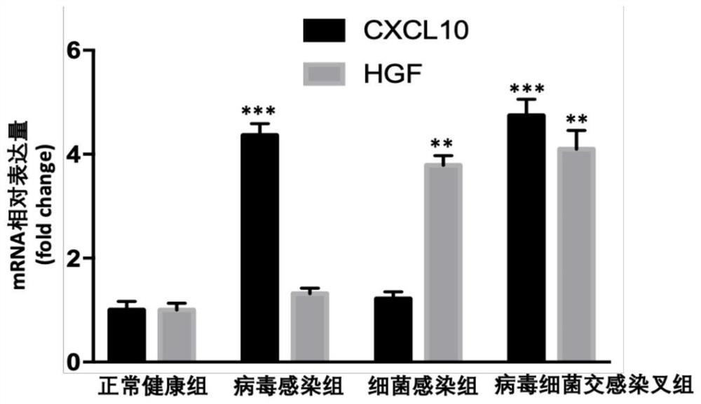 Application of combination of CXCL10 and HGF as pneumonia and infection source detection marker