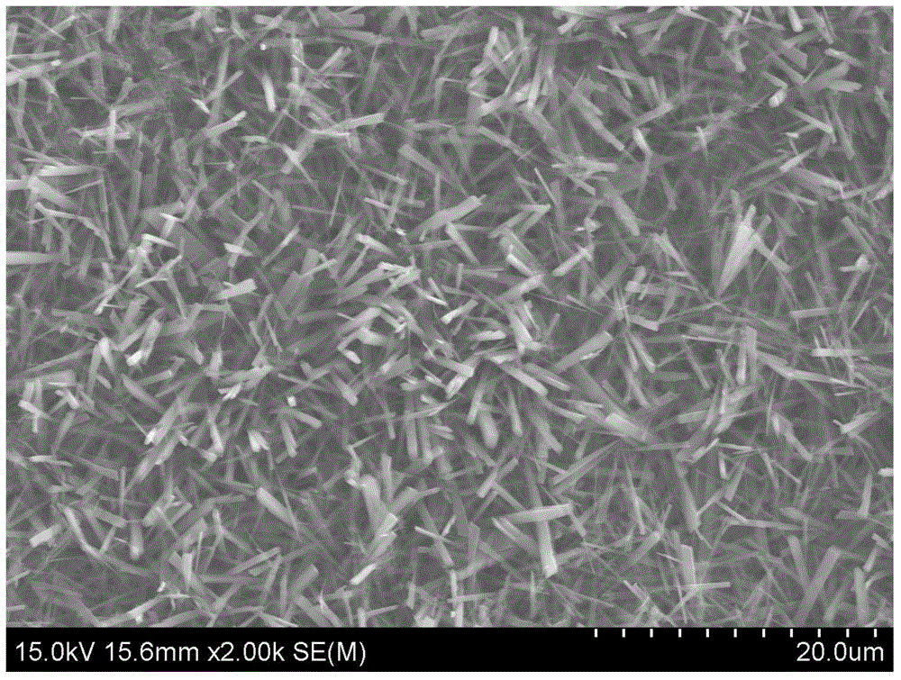 Method for preparing calcium hydrophosphate micro-nanofiber conversion coating on pure-titanium surface