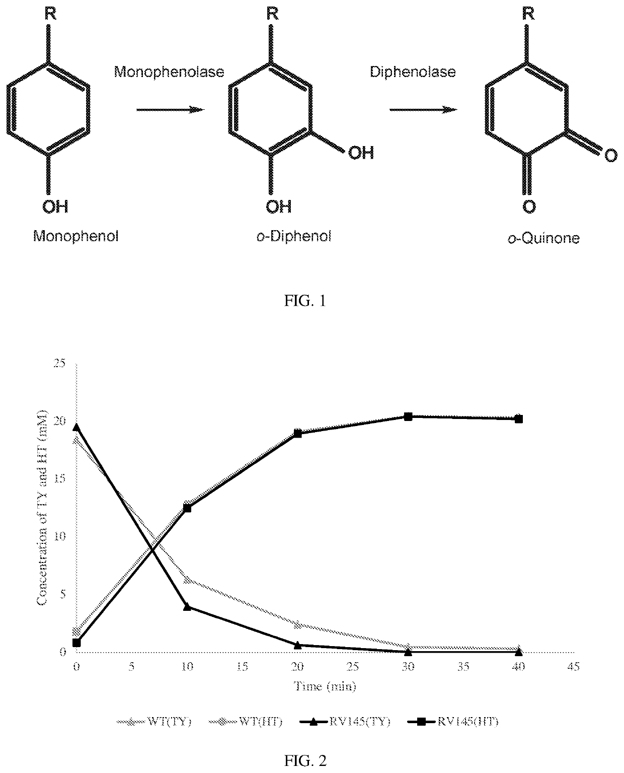 Method for the enzymatic conversion of a phenol substrate into a corresponding catechol product