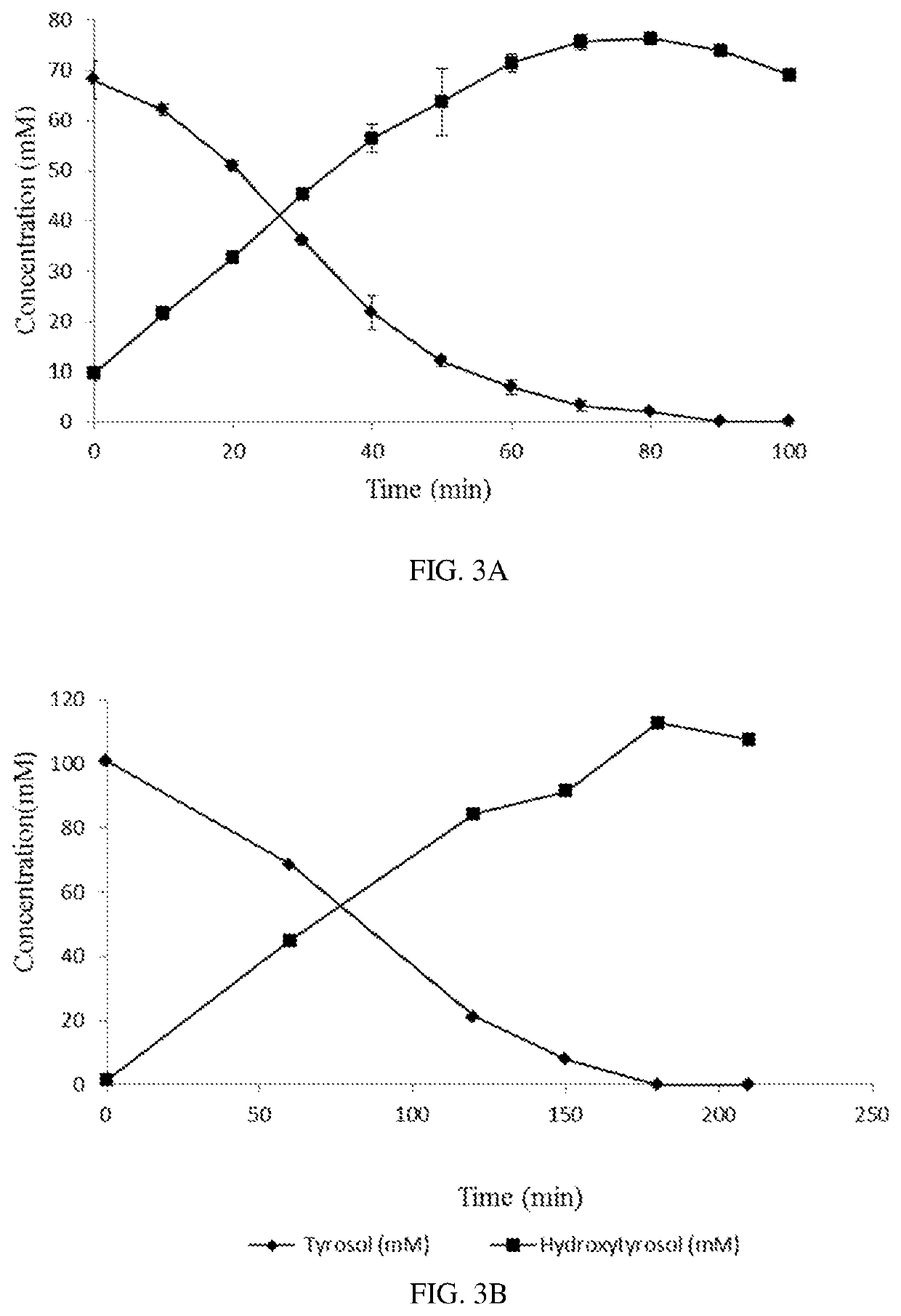 Method for the enzymatic conversion of a phenol substrate into a corresponding catechol product