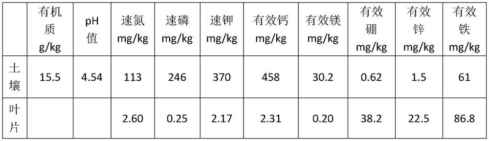 A method for repairing magnesium deficiency in zaoxiangyou