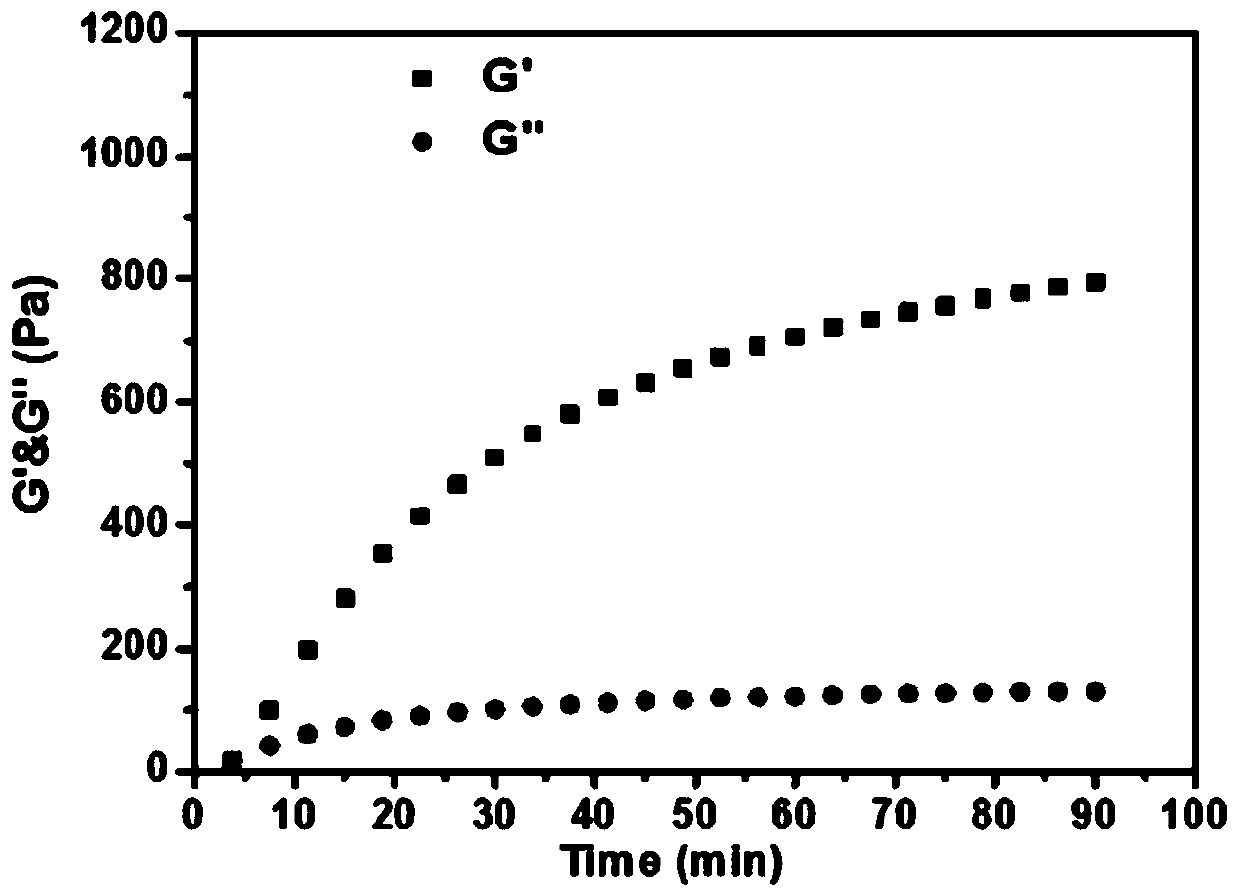 Injectable polymer hydrogel based on acylhydrazone bond, its preparation method and polymer hydrogel injection