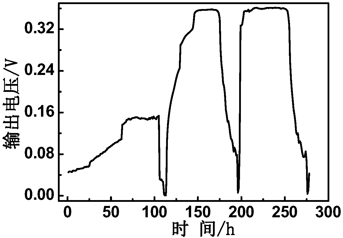 A kind of rhodococcus pyridineophilus and its application in microbial fuel cell