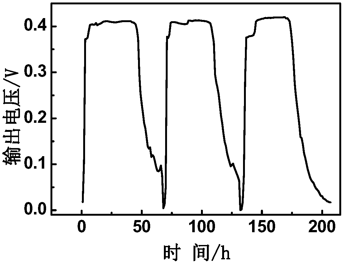 A kind of rhodococcus pyridineophilus and its application in microbial fuel cell