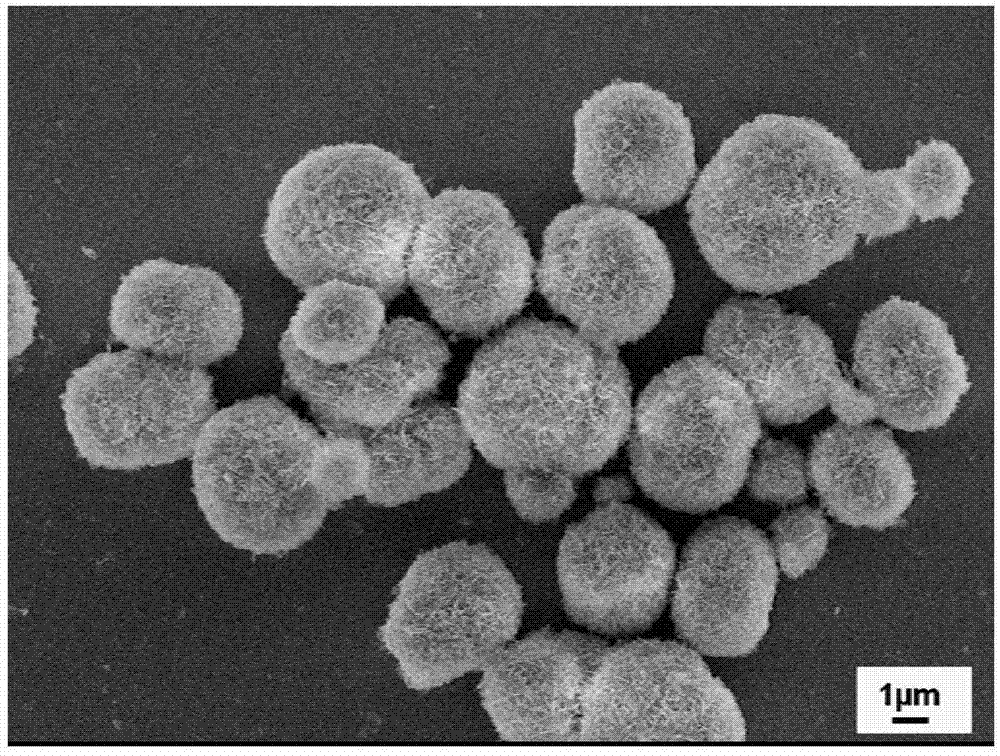 Porous hydroxyapatite flower-like microspheres and preparation method thereof