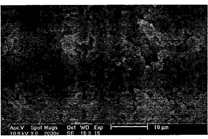 Method for preparing polyvinyl chloride resin with reduced leather diaphragm and improved porosity