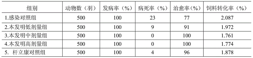 Traditional Chinese medicine composition for treating fowl typhoid and preparation method thereof