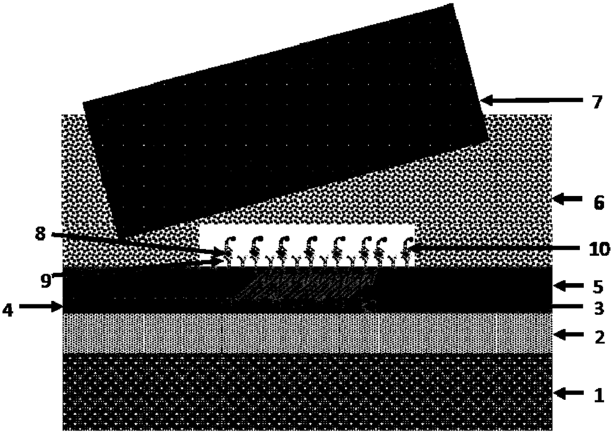 A fluorescent biosensor and detection method based on coupled grating