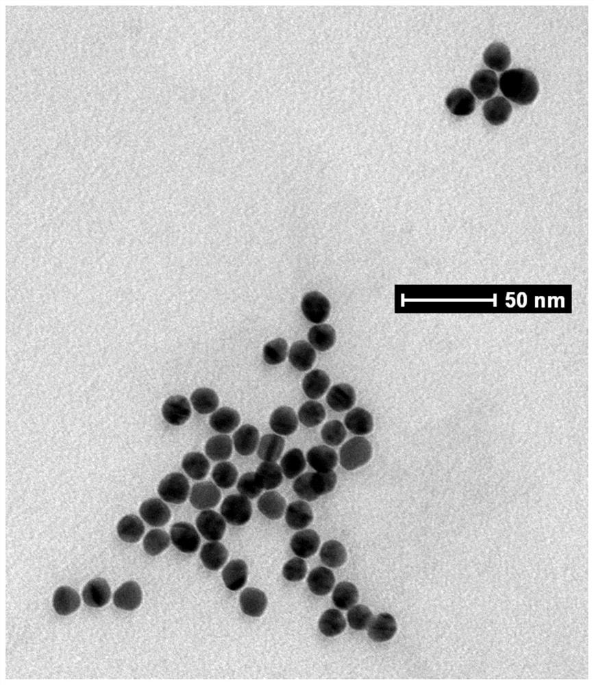 A kind of method for preparing nanozyme probe