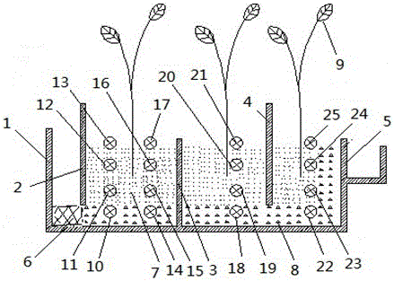 The method of treating sewage by using the constructed wetland which is convenient for taking water samples