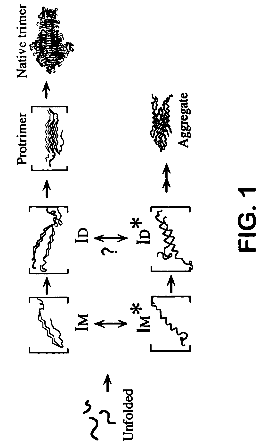 Use of hydrostatic pressure to inhibit and reverse protein aggregation and facilitate protein refolding