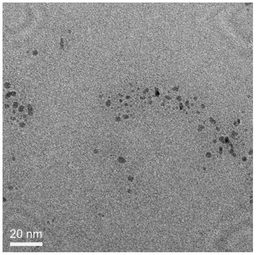 A palladium nanoparticle with peroxidase activity and preparation method thereof