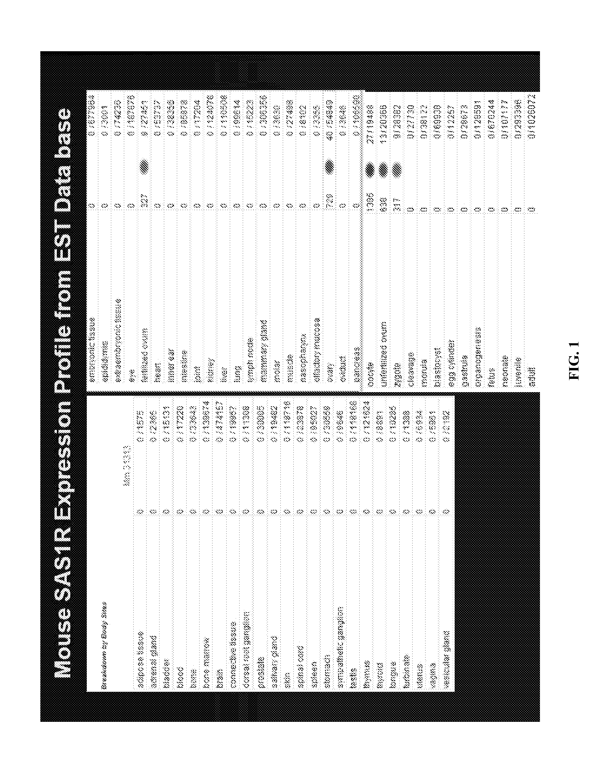 Compositions and methods for detecting, diagnosing, and treating cancer