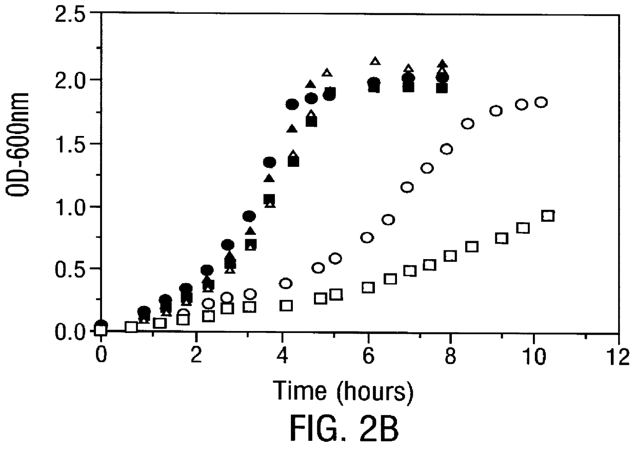 Methods for producing soluble, biologically-active disulfide-bond containing eukaryotic proteins in bacterial cells