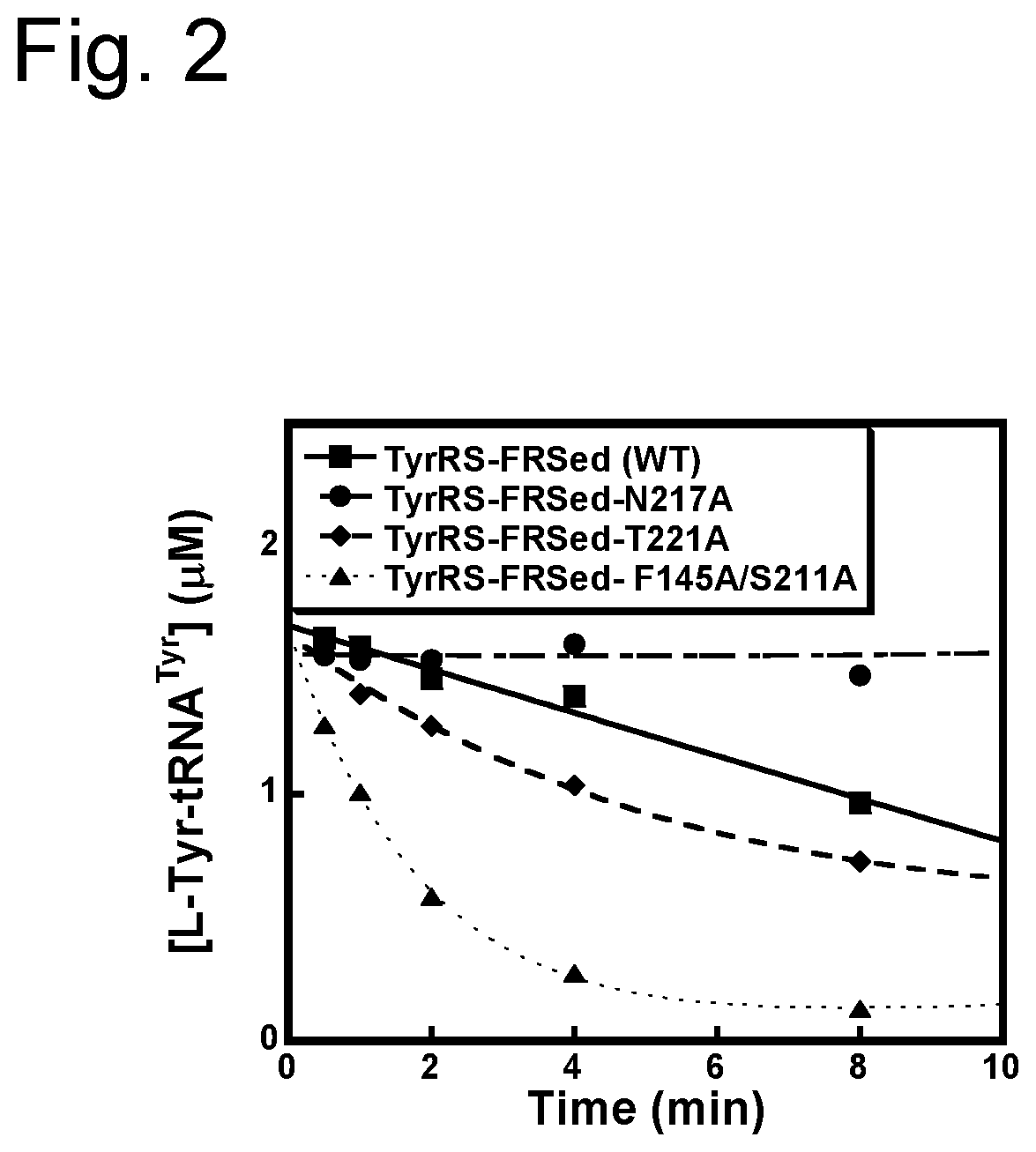 D-stereospecific aminoacyl-tRNA synthetase and method of producing D-stereospecific aminoacyl-tRNA synthetase
