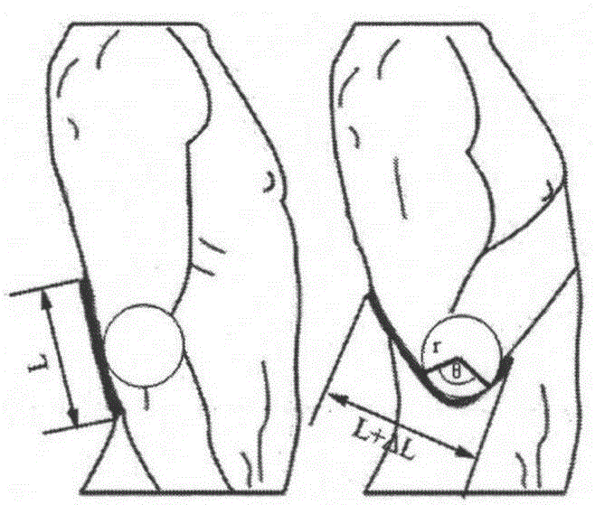 Upper limb functional movement monitoring system and method based on fabric sensor