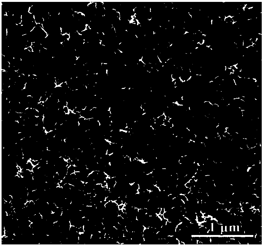 Preparation method of composite photocatalyst with high oxidation activity carbon dots and nickel sulfide