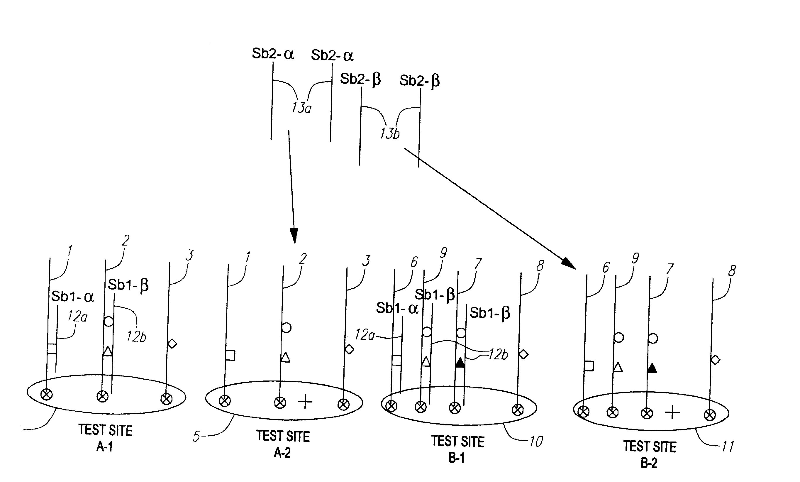 Methods and apparatus for screening and detecting multiple genetic mutations