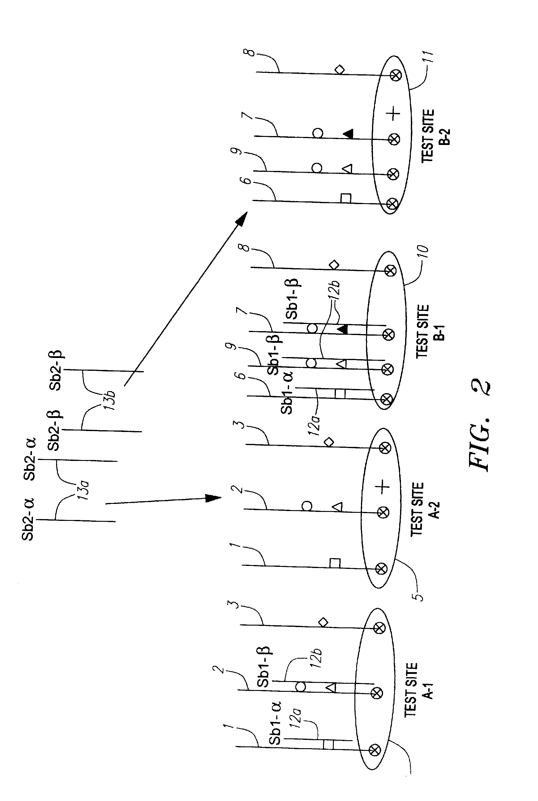 Methods and apparatus for screening and detecting multiple genetic mutations