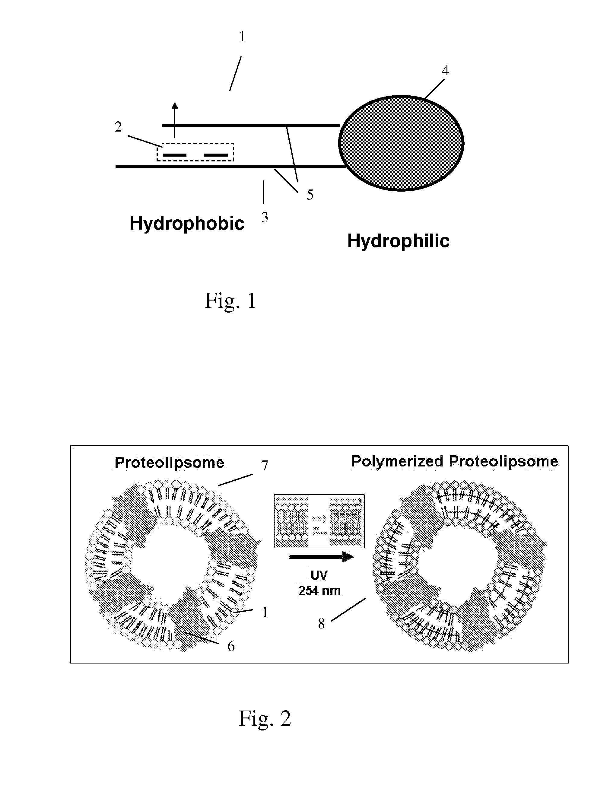 Nanofabricated Membrane Using Polymerized Proteoliposomes