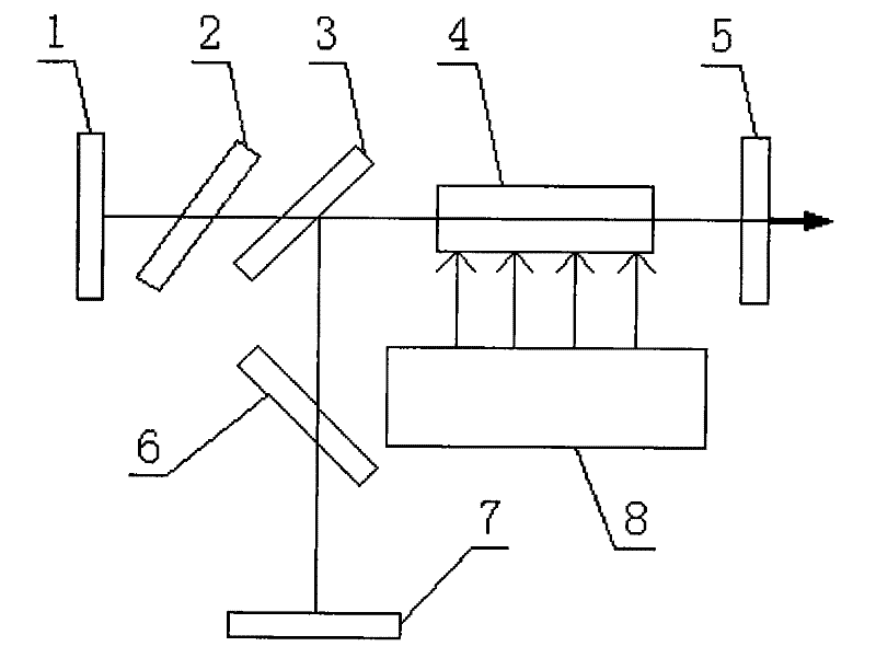 Cross-polarization dual laser