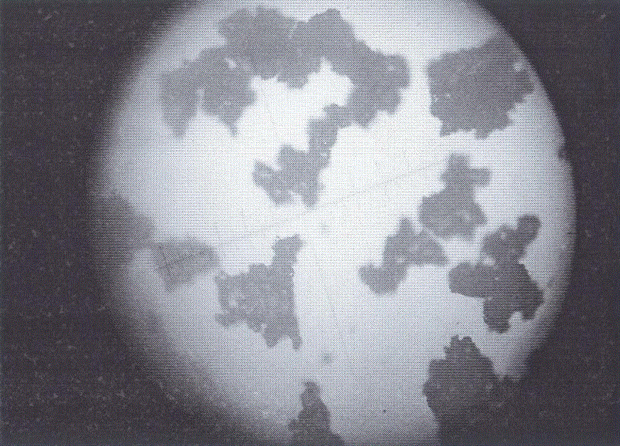 A kind of preparation method of granular compressible sugar