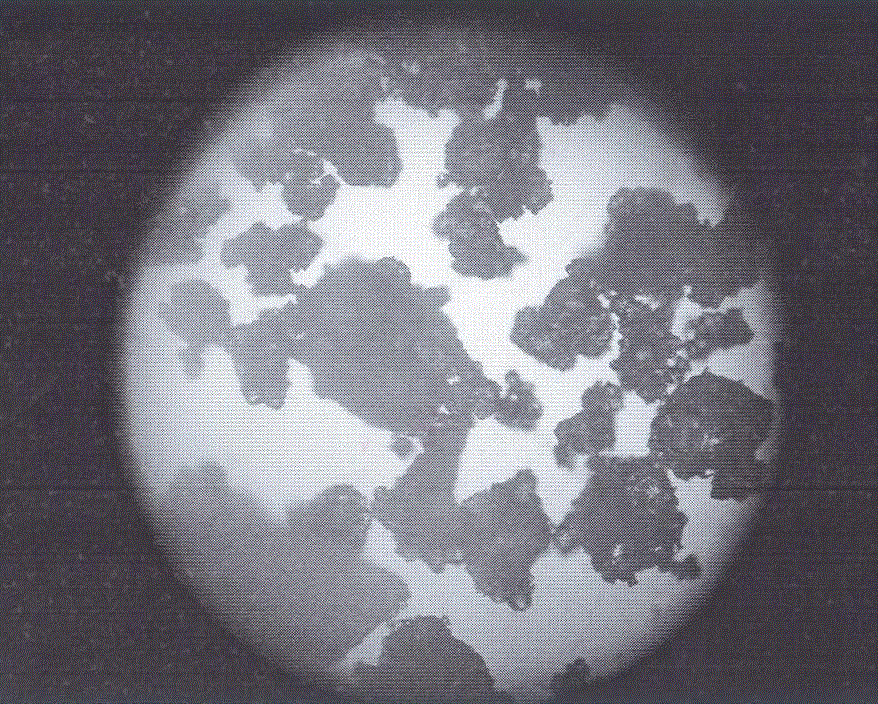 A kind of preparation method of granular compressible sugar