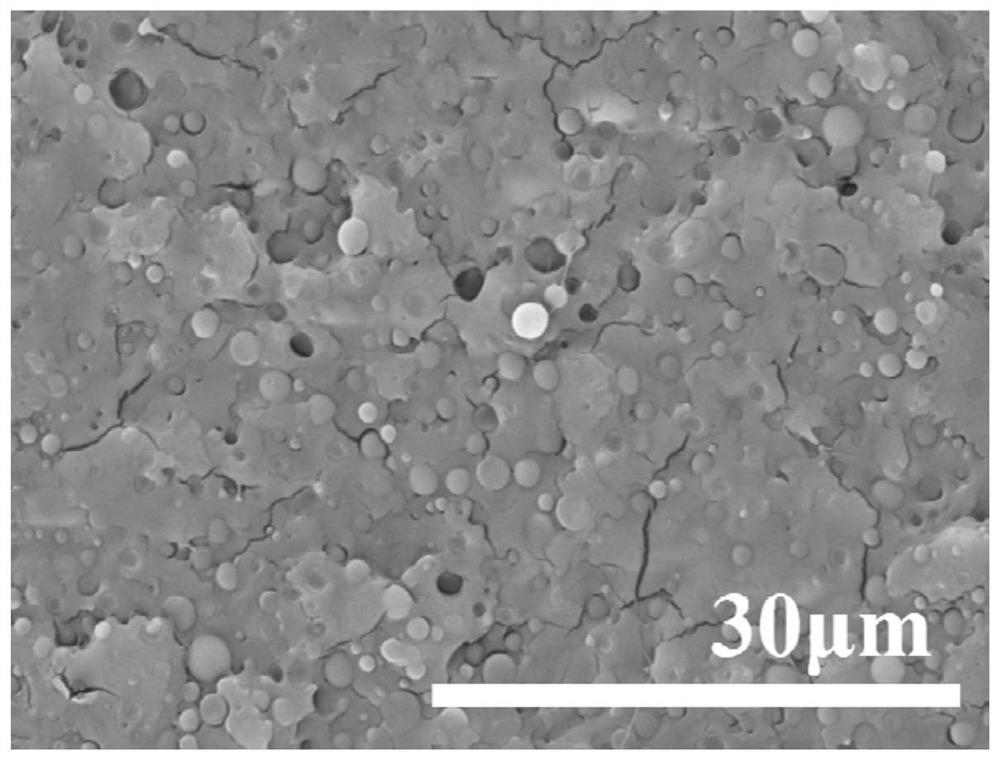 A kind of polylactic acid nano-cell foam material and preparation method thereof