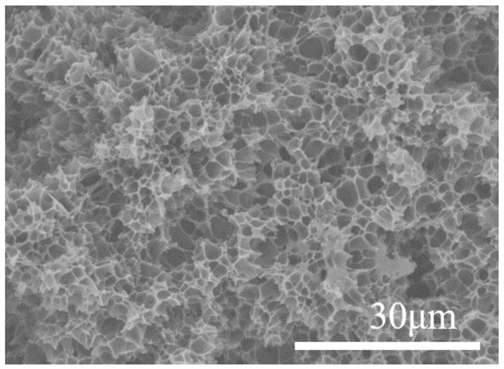 A kind of polylactic acid nano-cell foam material and preparation method thereof