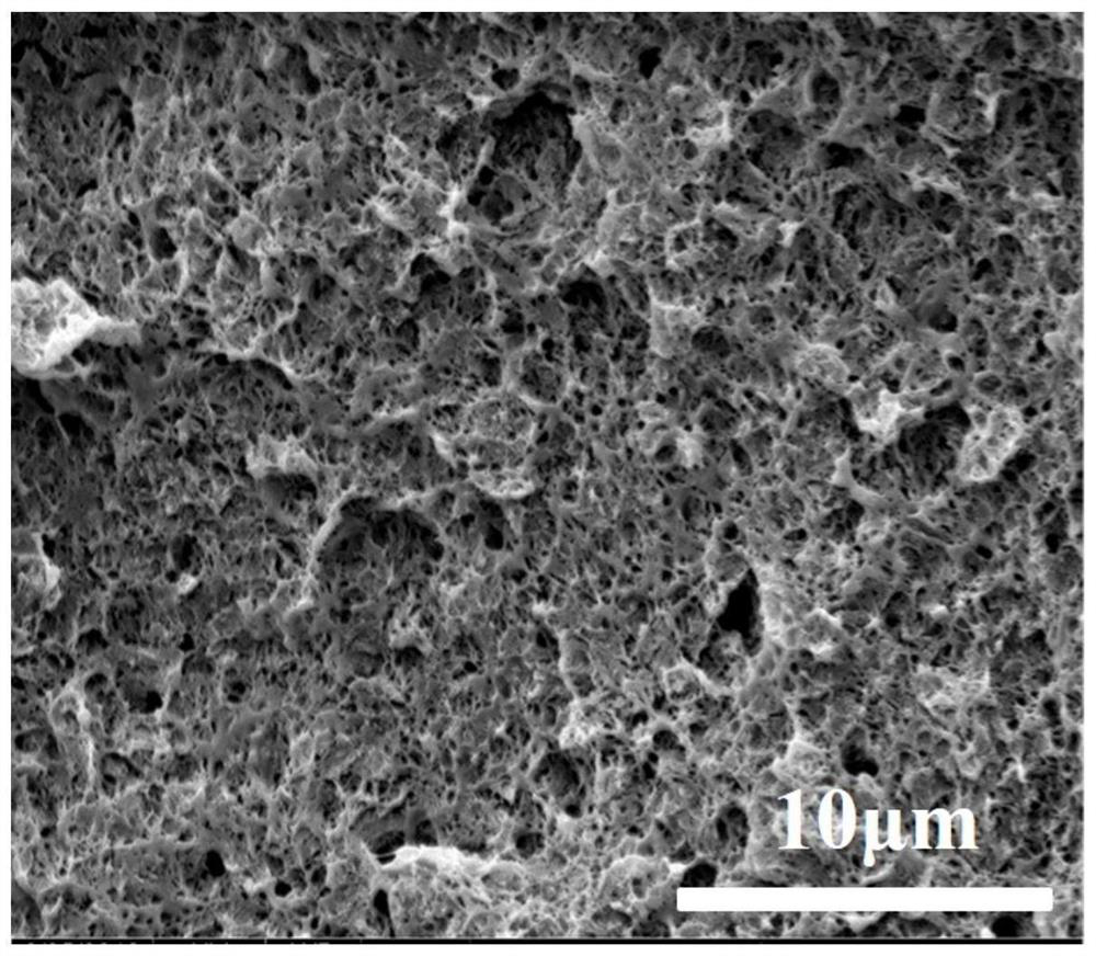 A kind of polylactic acid nano-cell foam material and preparation method thereof