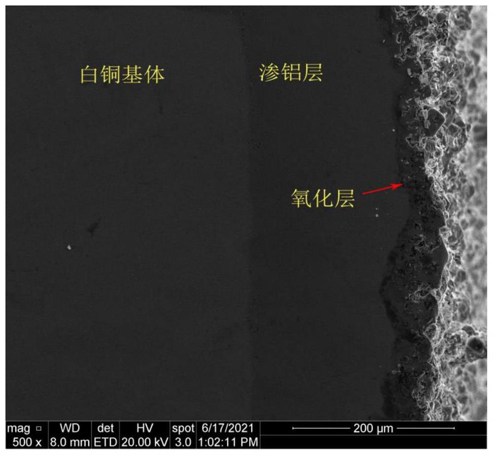 Corrosion-resistant coating on surface of cupronickel alloy and preparation method of corrosion-resistant coating