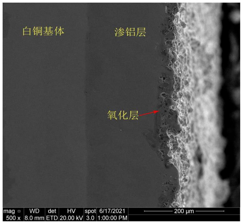 Corrosion-resistant coating on surface of cupronickel alloy and preparation method of corrosion-resistant coating
