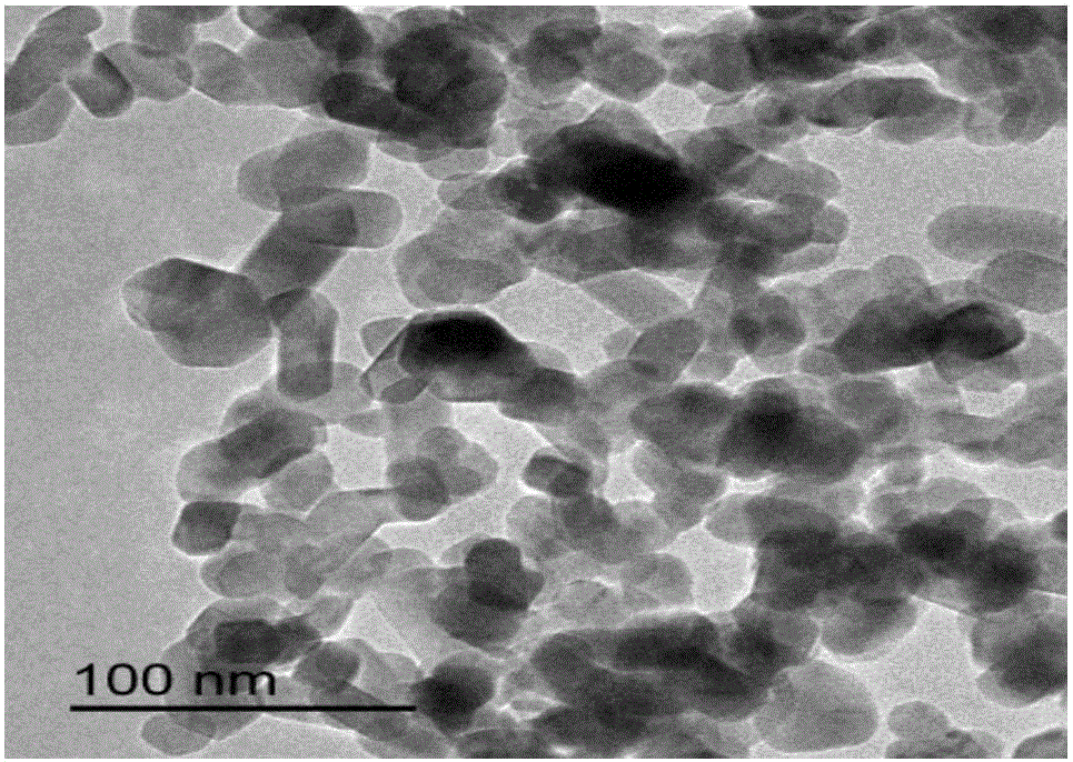 SnO2 nanorod for negative electrode of lithium ion battery, and preparation method of SnO2 nanorod