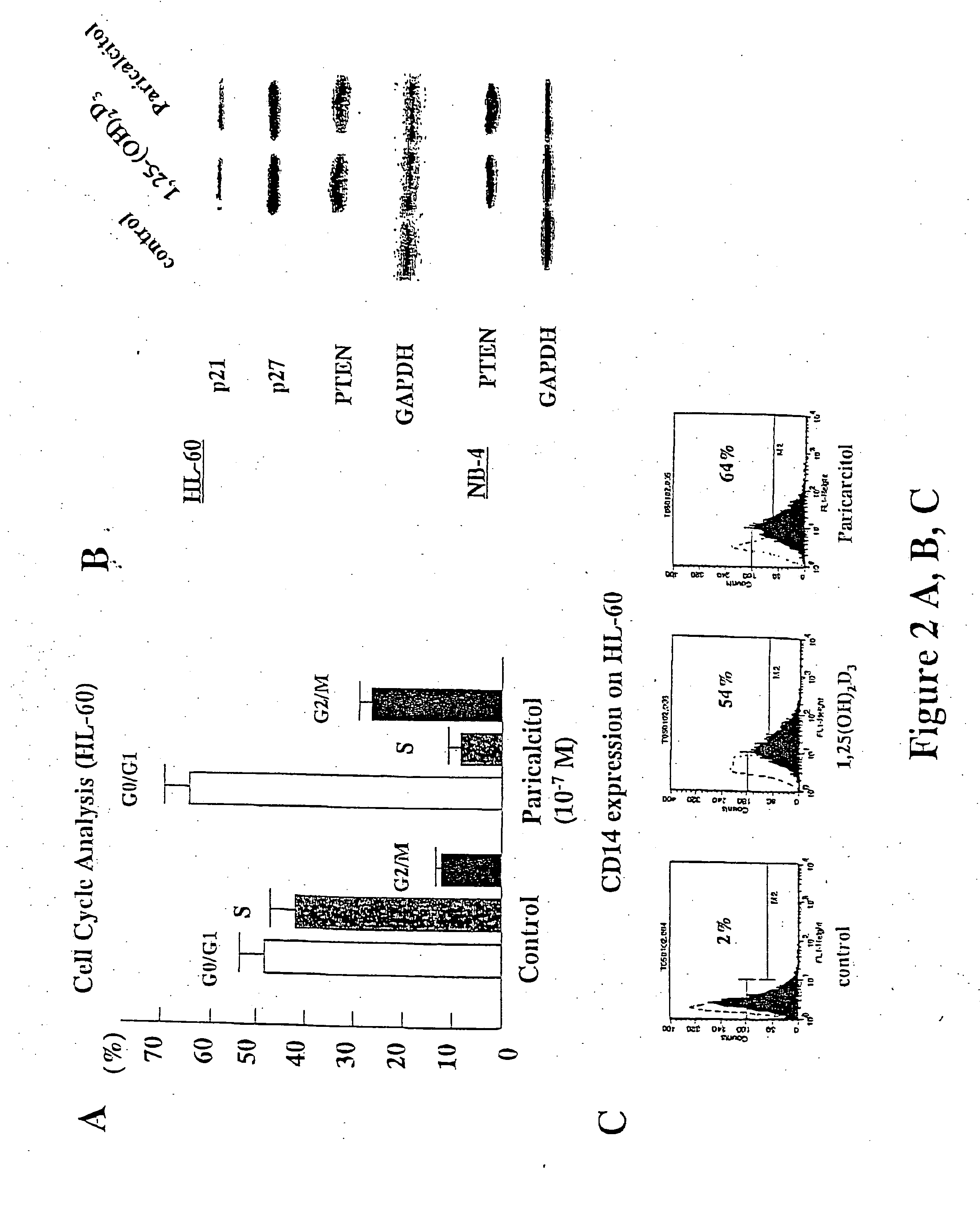 Paricalcitol as a chemotherapeutic agent