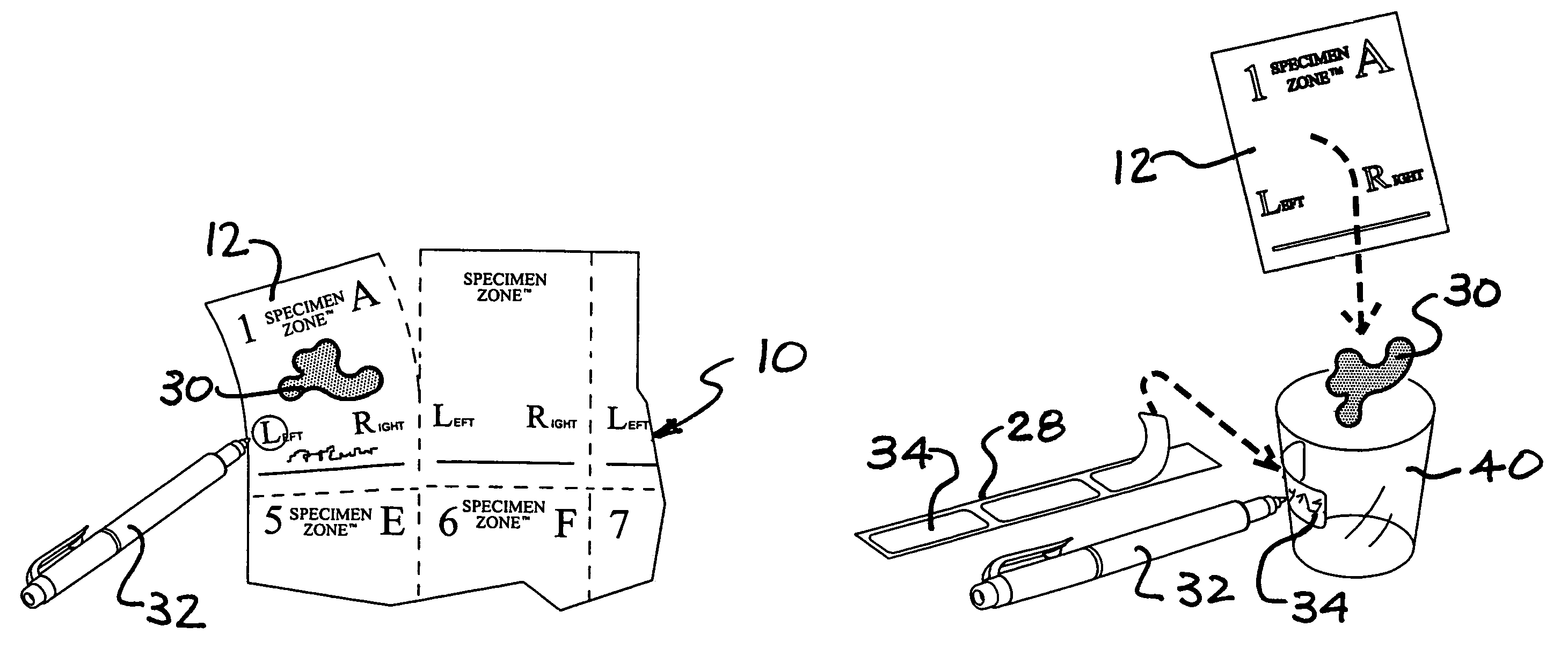 Specimen labeling system