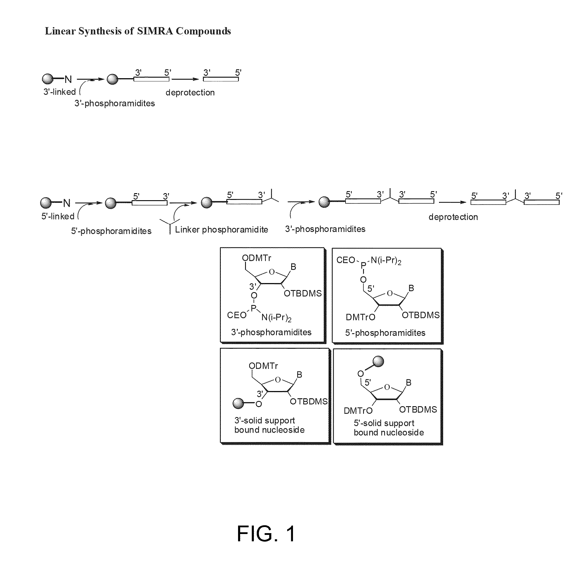 Treatment of cancer using tlr9 agonist with checkpoint inhibitors