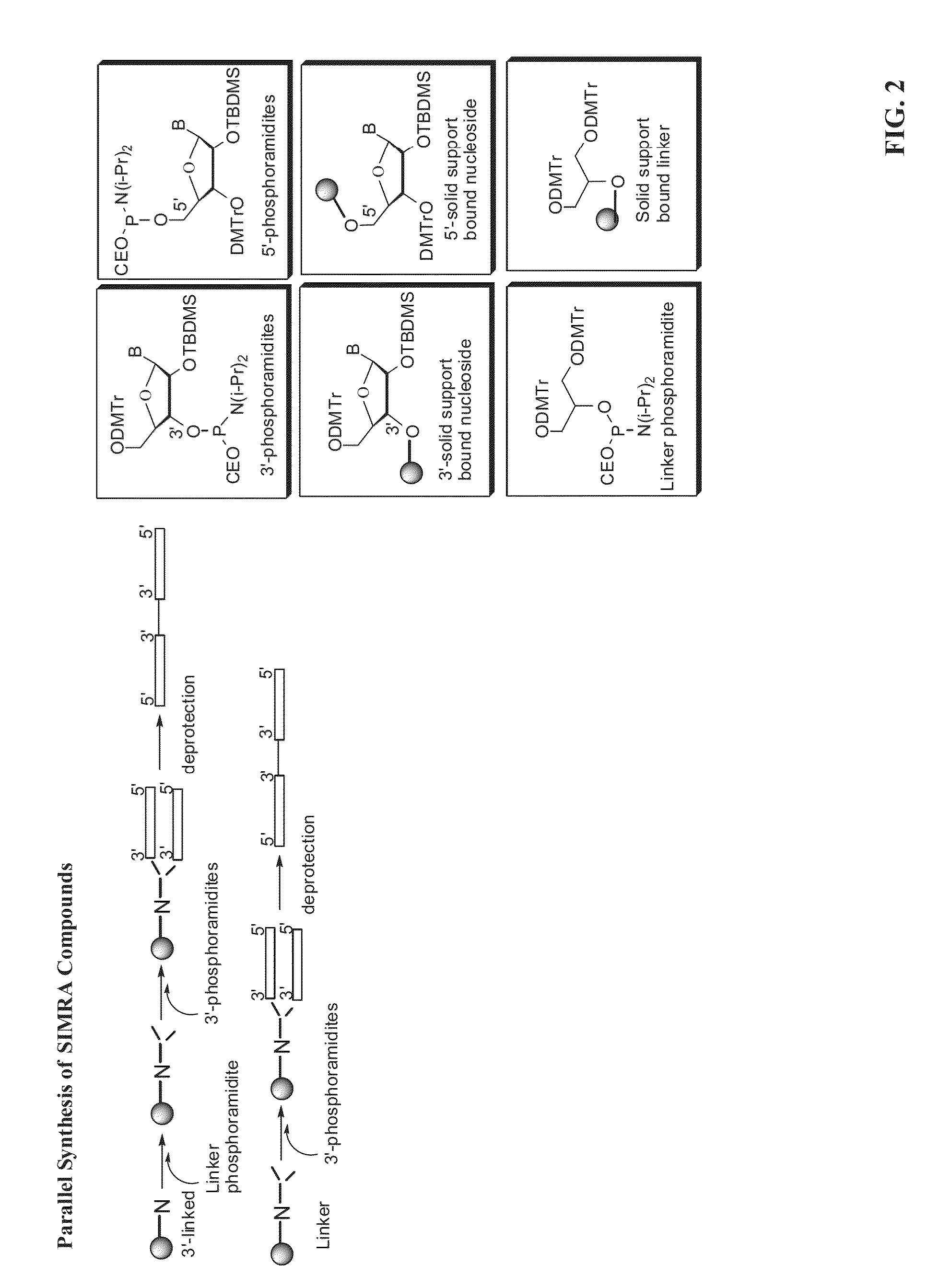 Treatment of cancer using tlr9 agonist with checkpoint inhibitors