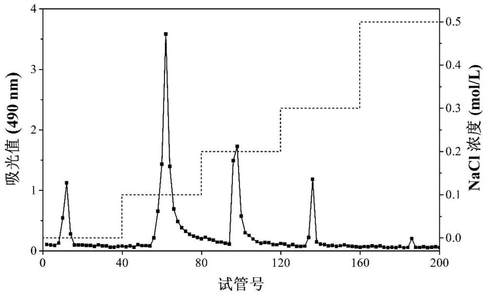 Tibetan ganoderma lucidum polysaccharide GLP-1 with antioxidant effect as well as preparation method and application thereof