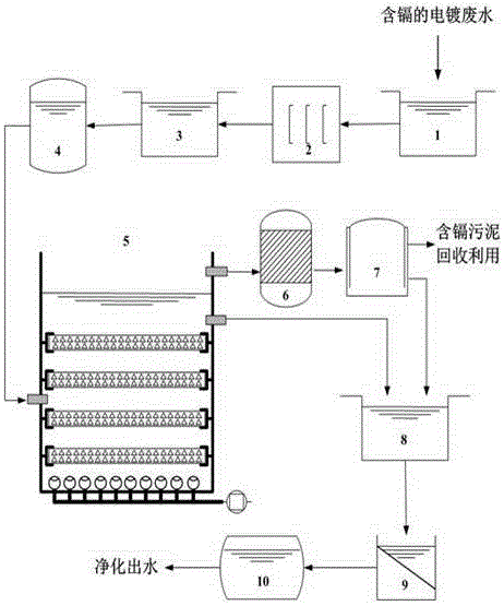 Treatment method for removing cadmium in electroplating wastewater