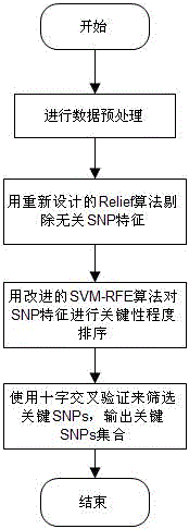 Feature selection method facing to SNP (Single Nucleotide Polymorphism) data