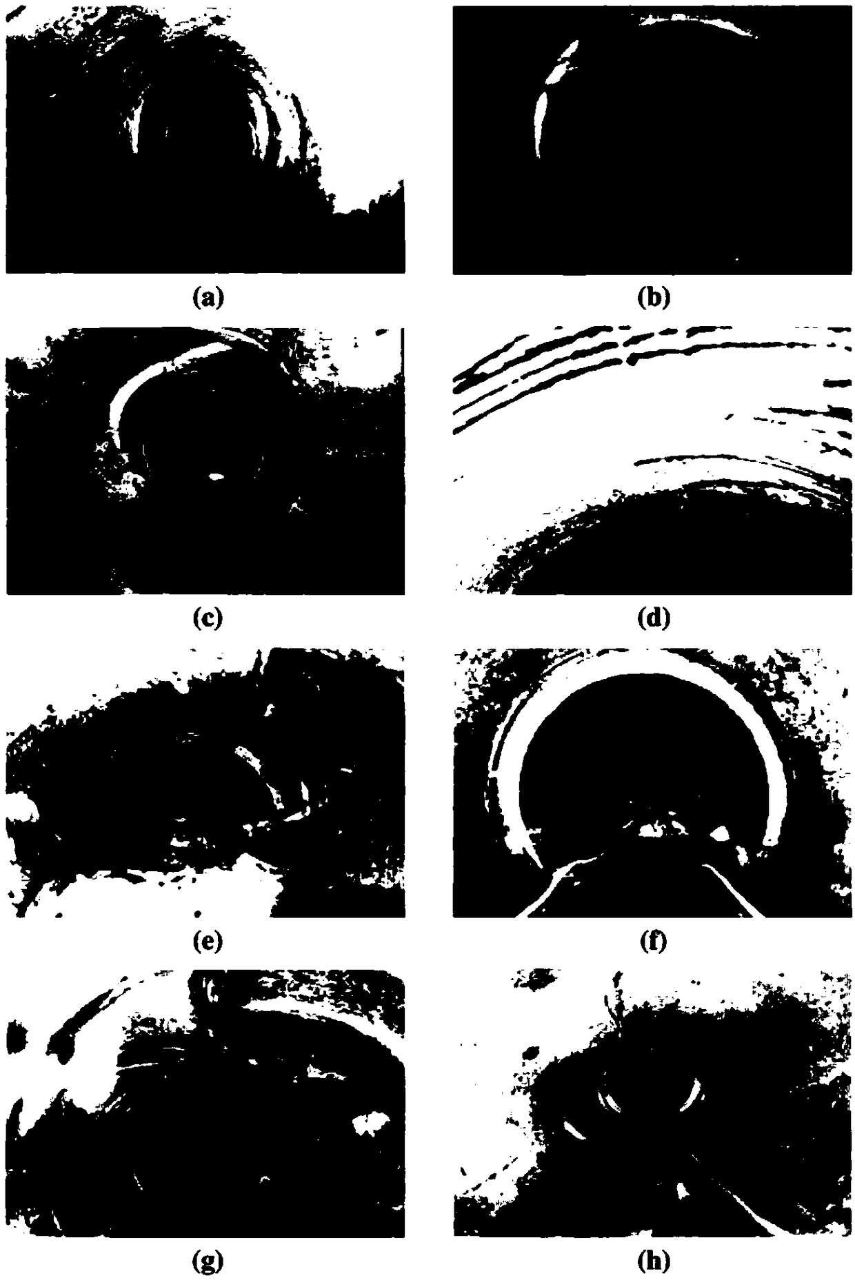 A method for fault diagnosis and evaluation of drainage pipeline based on CCTV video image multivariate analysis