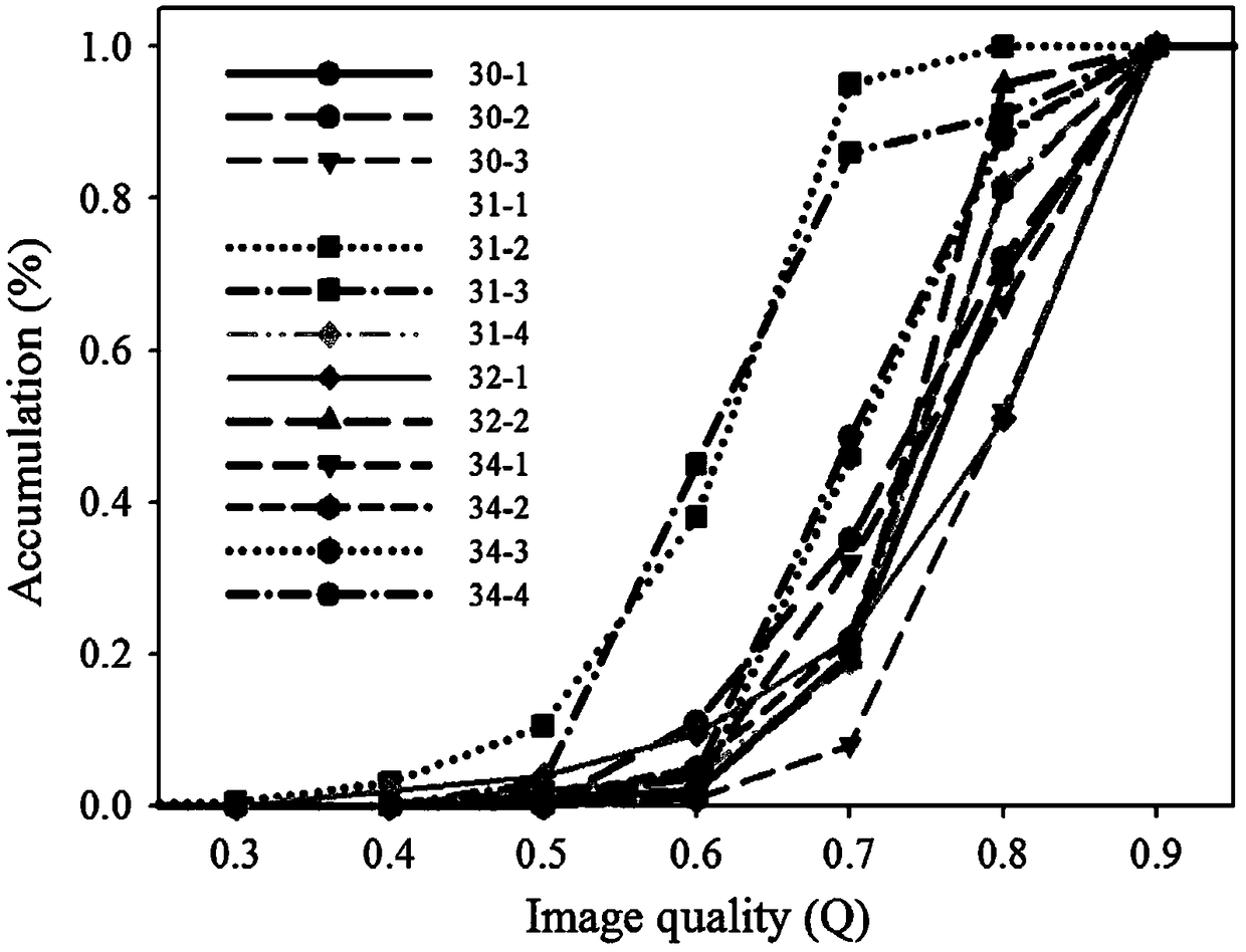 A method for fault diagnosis and evaluation of drainage pipeline based on CCTV video image multivariate analysis