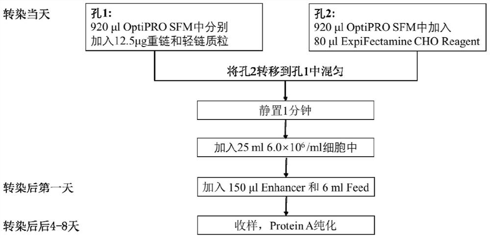 Affinity purification method for reducing content of host cell protein in production of anti-human interleukin-33 monoclonal antibody